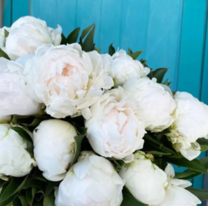 fleuriste fête des mères