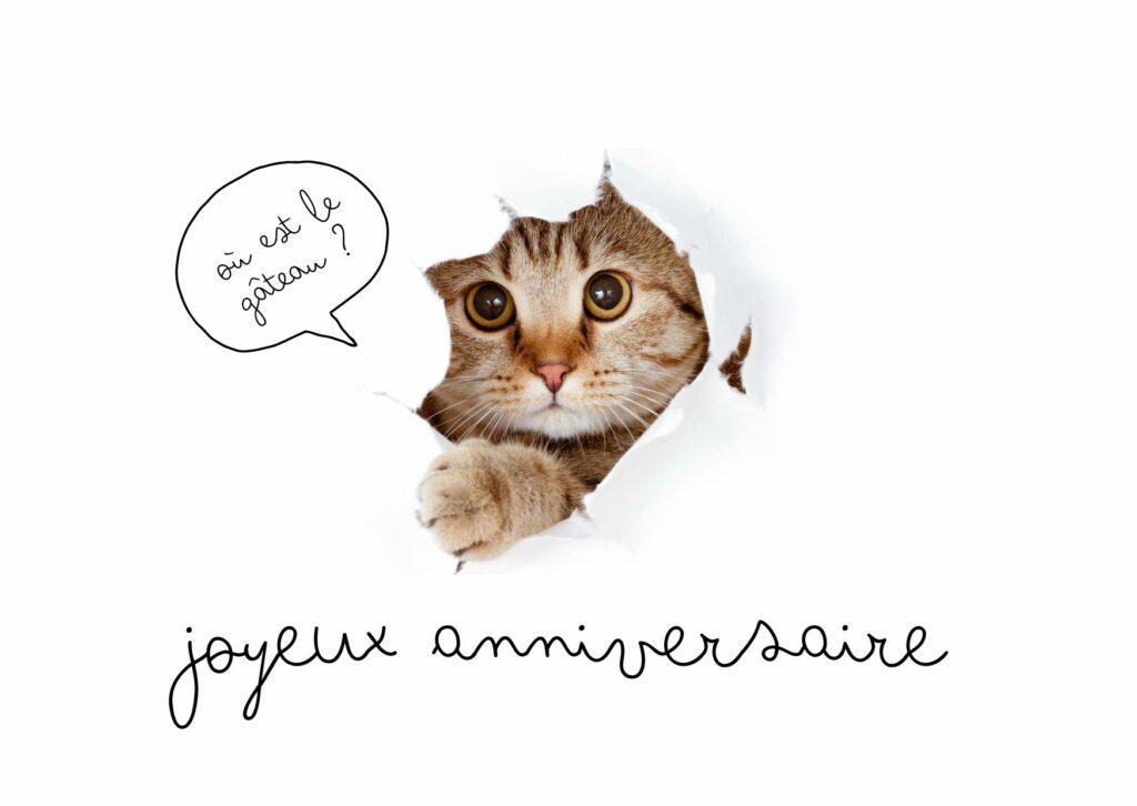 carte anniversaire marrante